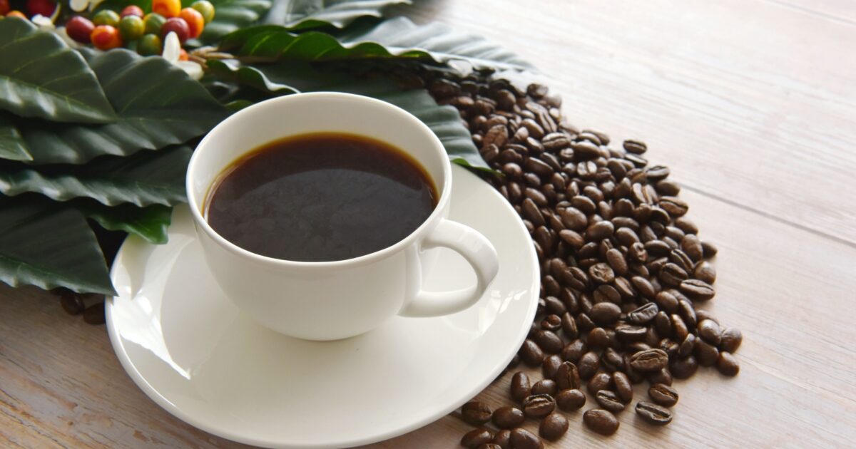コーヒーの葉と焙煎豆とホットコーヒー