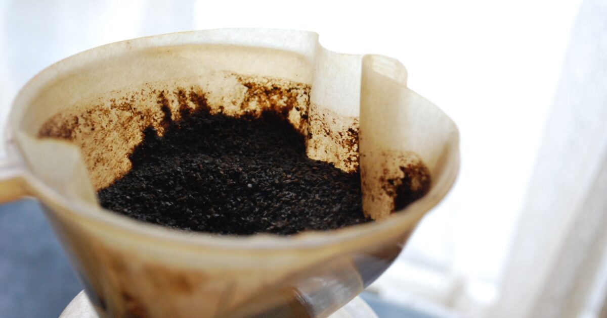 抽出後のドリッパー内のコーヒー粉